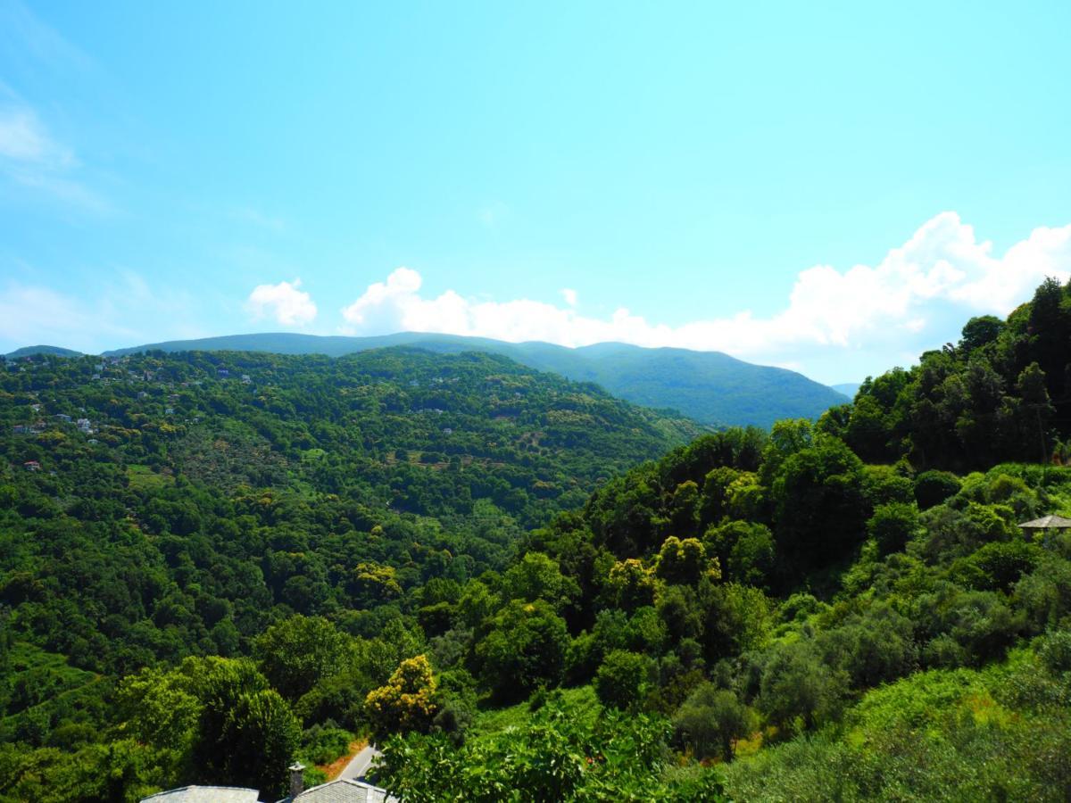 Felitsia Apartments & Studios Agios Ioannis  Exteriör bild