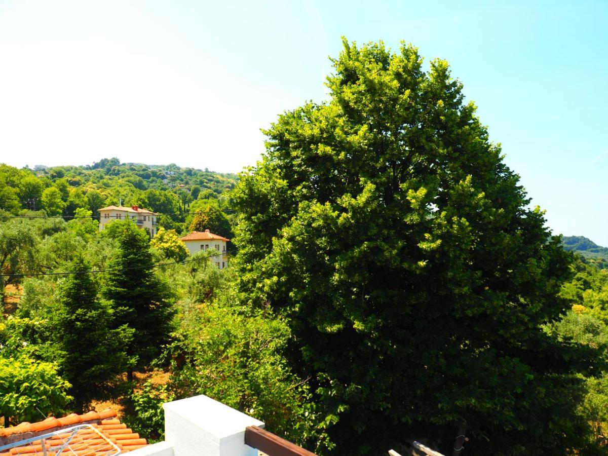 Felitsia Apartments & Studios Agios Ioannis  Exteriör bild