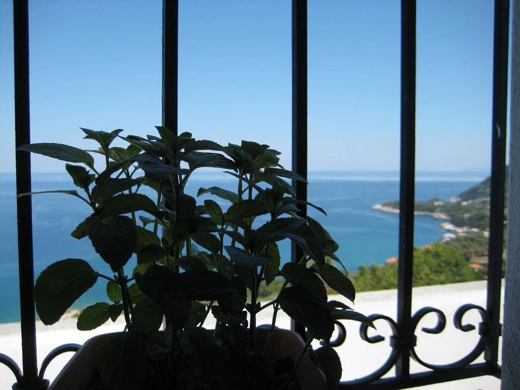 Felitsia Apartments & Studios Agios Ioannis  Exteriör bild