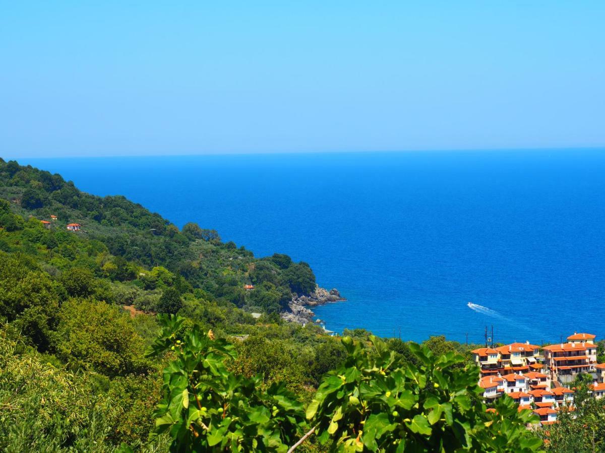 Felitsia Apartments & Studios Agios Ioannis  Exteriör bild