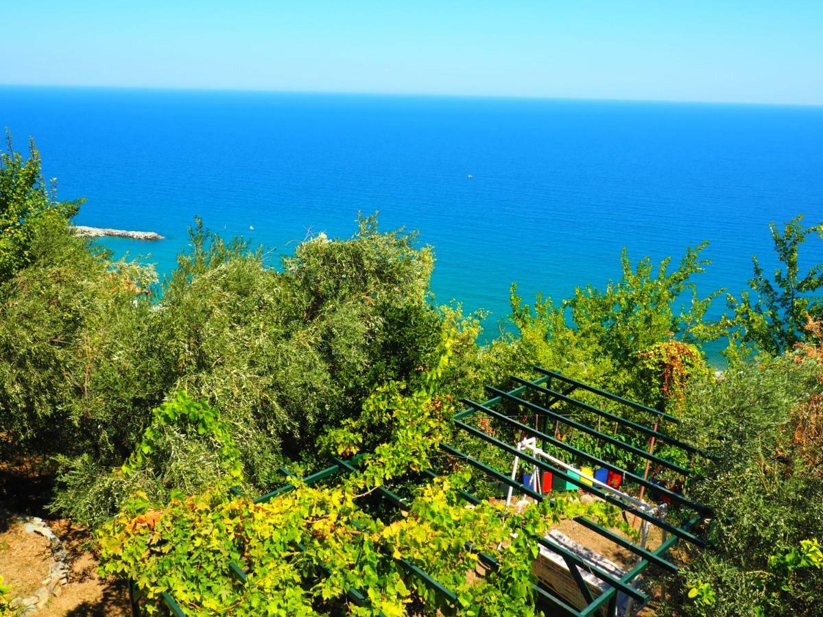 Felitsia Apartments & Studios Agios Ioannis  Exteriör bild